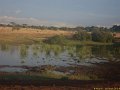 Kenya Safari Tsavo Est et Ouest 030